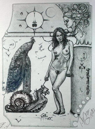 AKT NA PROCHÁZCE S MALÝM DRAKEM - HUJBER GÜNTER