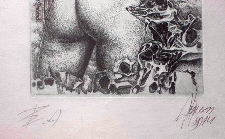 AKT OPALOVÁNÍ SLUNCEM - HUJBER GÜNTER