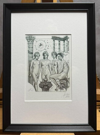 AKT PARIDŮV SOUD IV. - HUJBER GÜNTER