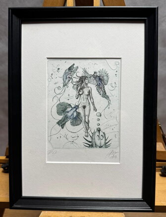 AKT RAJKY - HUJBER GÜNTER