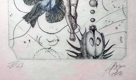 AKT RAJKY - HUJBER GÜNTER