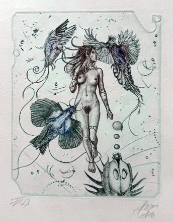 AKT RAJKY - HUJBER GÜNTER