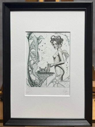 AKT S KOČKOU A HRUŠKOU - HUJBER GÜNTER