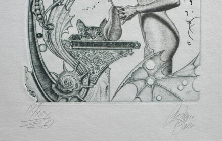 AKT S KOČKOU A HRUŠKOU - HUJBER GÜNTER