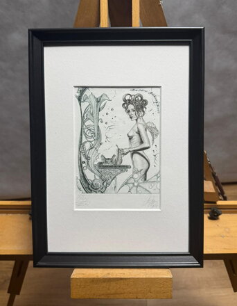 AKT S KOČKOU A HRUŠKOU - HUJBER GÜNTER