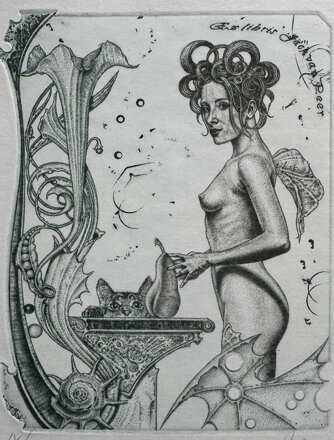 AKT S KOČKOU A HRUŠKOU - HUJBER GÜNTER