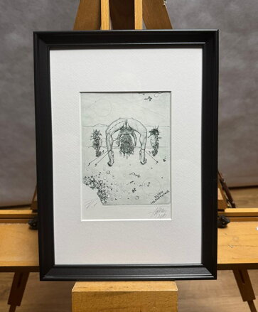 AKT - STRÁŽCI MOSTU PŘES ŘEKU S MNOHA PŘÍTOKY - HUJBER GÜNTER