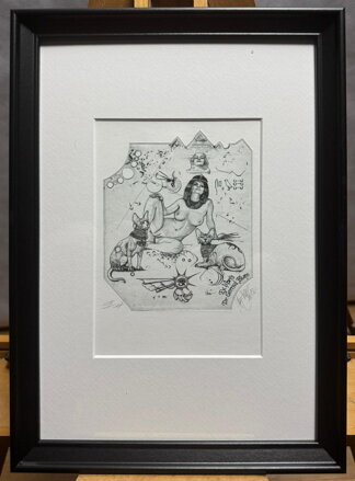 AKT - STRÁŽCI VLÁDKYNĚ - HUJBER GÜNTER