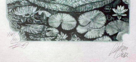 AKT ZTRACENÝ RÁJ V. - HUJBER GÜNTER