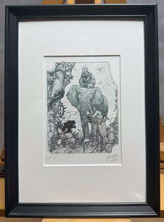 KNIHA DŽUNGLÍ - HUJBER GÜNTER