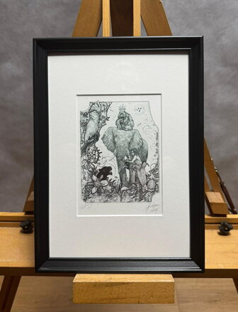 KNIHA DŽUNGLÍ - HUJBER GÜNTER