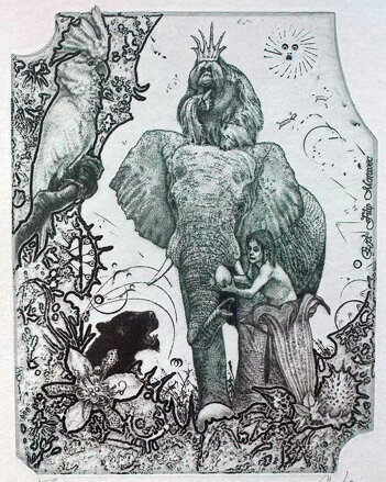 KNIHA DŽUNGLÍ - HUJBER GÜNTER