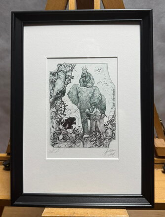 KNIHA DŽUNGLÍ - HUJBER GÜNTER