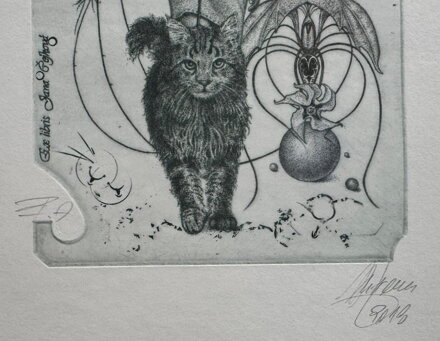 KOČKY - HUJBER GÜNTER