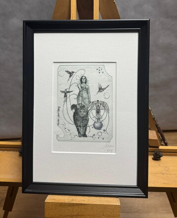 KOČKY - HUJBER GÜNTER