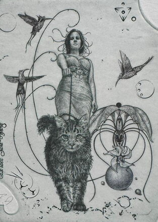 KOČKY - HUJBER GÜNTER