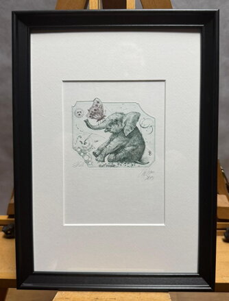 SLŮNĚ - HUJBER GÜNTER