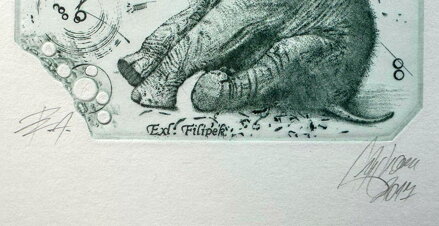 SLŮNĚ - HUJBER GÜNTER