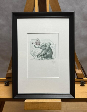 SLŮNĚ - HUJBER GÜNTER