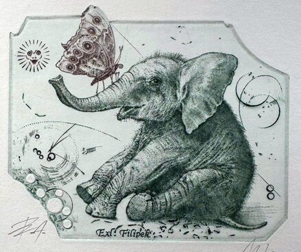 SLŮNĚ - HUJBER GÜNTER