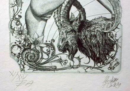 AKT - ZNAMENÍ KOZOROH - HUJBER GÜNTER