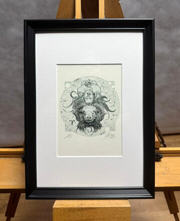 AKT - ZVĚROKRUH ZNAMENÍ BERAN - HUJBER GÜNTER