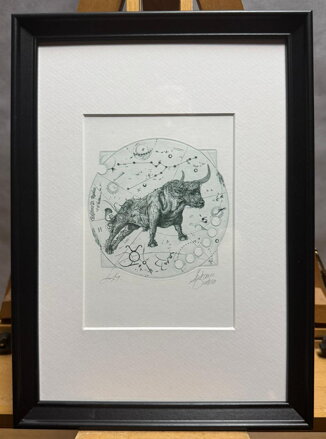 ZVĚROKRUH ZNAMENÍ BÝK - HUJBER GÜNTER