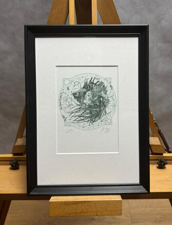 ZVĚROKRUH ZNAMENÍ RYBY - HUJBER GÜNTER