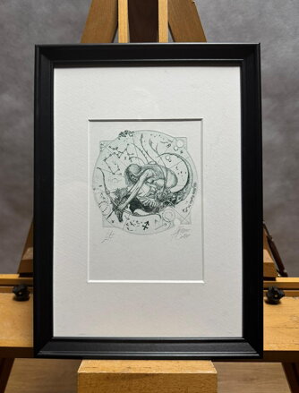 ZVĚROKRUH ZNAMENÍ STŘELEC - HUJBER GÜNTER