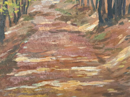 PROSLUNĚNÁ LESNÍ CESTA - HURT JOSEF