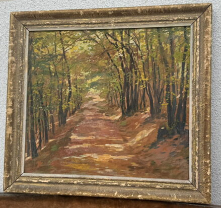 PROSLUNĚNÁ LESNÍ CESTA - HURT JOSEF