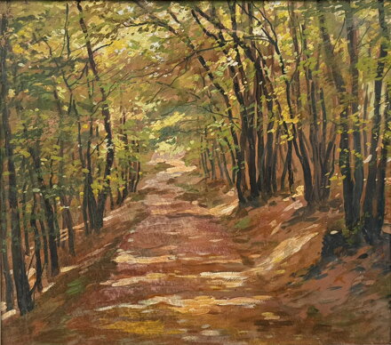 PROSLUNĚNÁ LESNÍ CESTA - HURT JOSEF