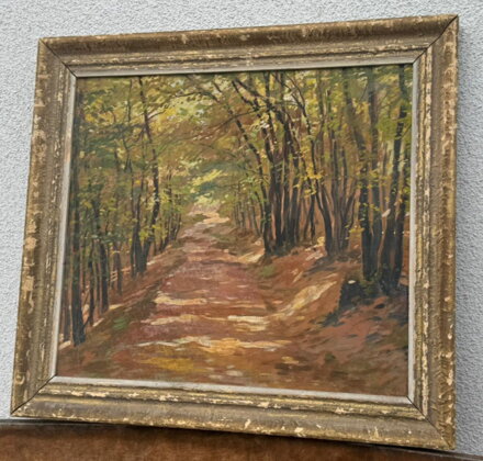 PROSLUNĚNÁ LESNÍ CESTA - HURT JOSEF