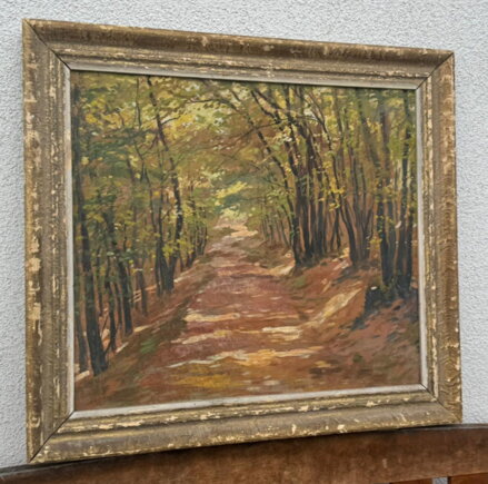 PROSLUNĚNÁ LESNÍ CESTA - HURT JOSEF