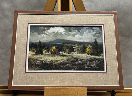 ŠUMAVSKÁ KRAJINA - POLATA KAREL