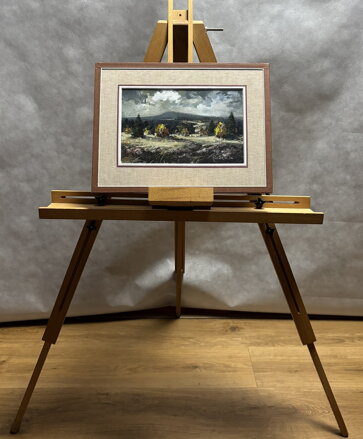 ŠUMAVSKÁ KRAJINA - POLATA KAREL