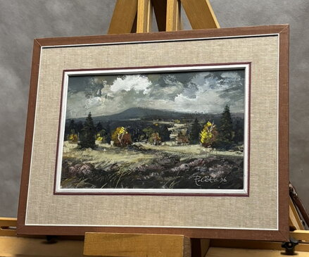 ŠUMAVSKÁ KRAJINA - POLATA KAREL