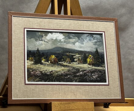 ŠUMAVSKÁ KRAJINA - POLATA KAREL