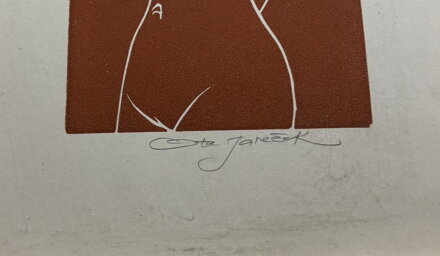 DÍVČÍ AKT - JANEČEK OTA