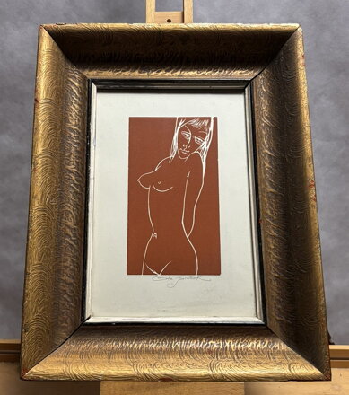 DÍVČÍ AKT - JANEČEK OTA