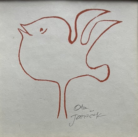 PTÁČEK - JANEČEK OTA