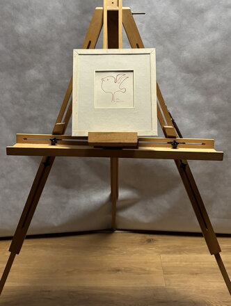 PTÁČEK - JANEČEK OTA