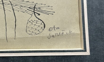 VÁNOČNÍ SETKÁNÍ - JANEČEK OTA