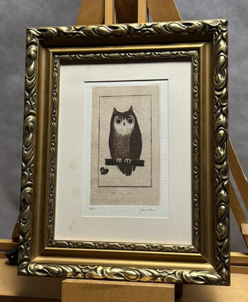 SOVA - JANÍČKOVÁ JANOUCHOVÁ EVA