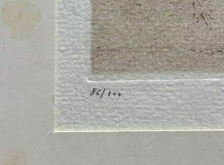 SOVA - JANÍČKOVÁ JANOUCHOVÁ EVA