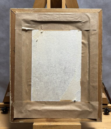 SOVA - JANÍČKOVÁ JANOUCHOVÁ EVA