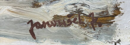 ZIMA NA VYSOČINĚ - JANOUŠEK JOSEF