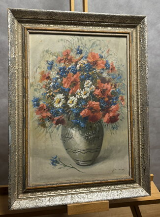 VLČÍ MÁKY, CHRPY A KOPRETINY - JANOVSKÝ JAN KAREL