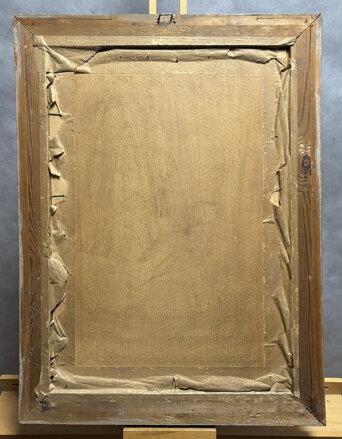 VLČÍ MÁKY, CHRPY A KOPRETINY - JANOVSKÝ JAN KAREL