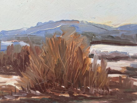 JARNÍ TÁNÍ V KRAJINĚ - SIGNOVÁN